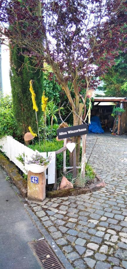Apartment Altes Winzerhaus Osann-Monzel Kültér fotó